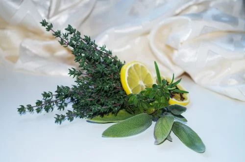 Zitronen-Kräuter-Pesto
